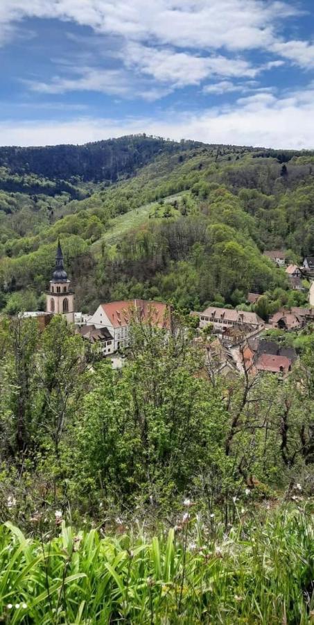 Gite A Andlau Apartment Bagian luar foto